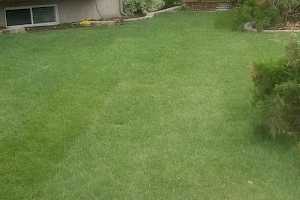 Grass grids used for residential green parking