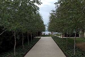 Solepave Driveway using our CORE gravel 50-35